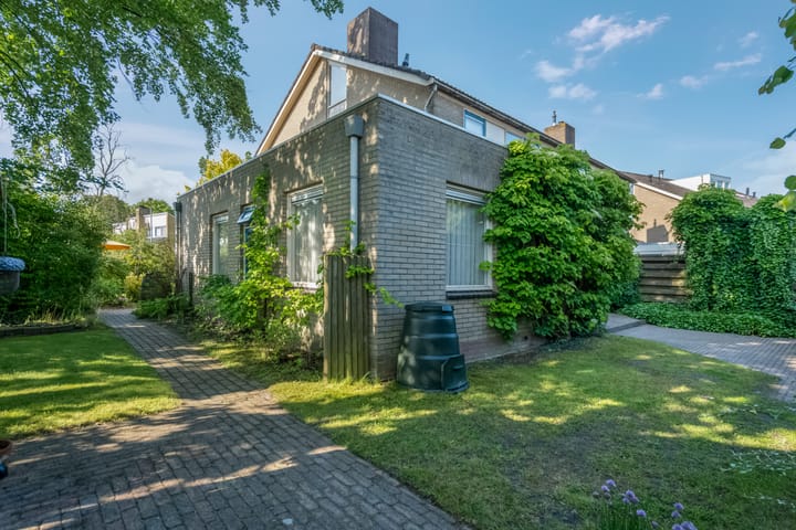 Foto 42 van Klimop 1