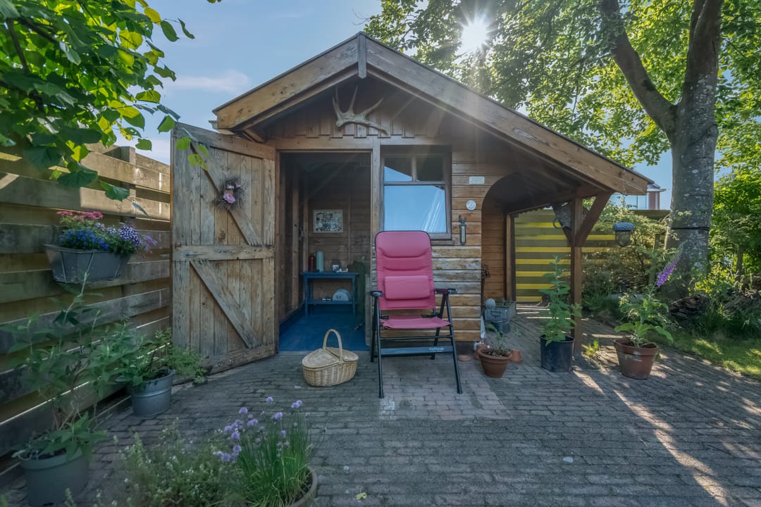 Foto 43 van Klimop 1