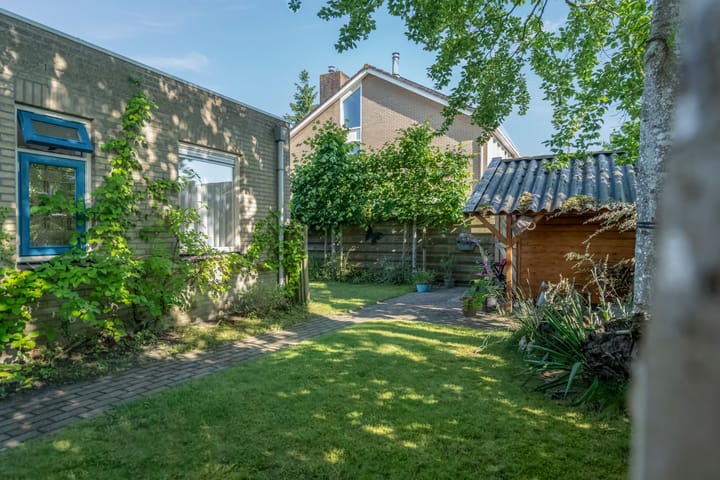 Foto 45 van Klimop 1