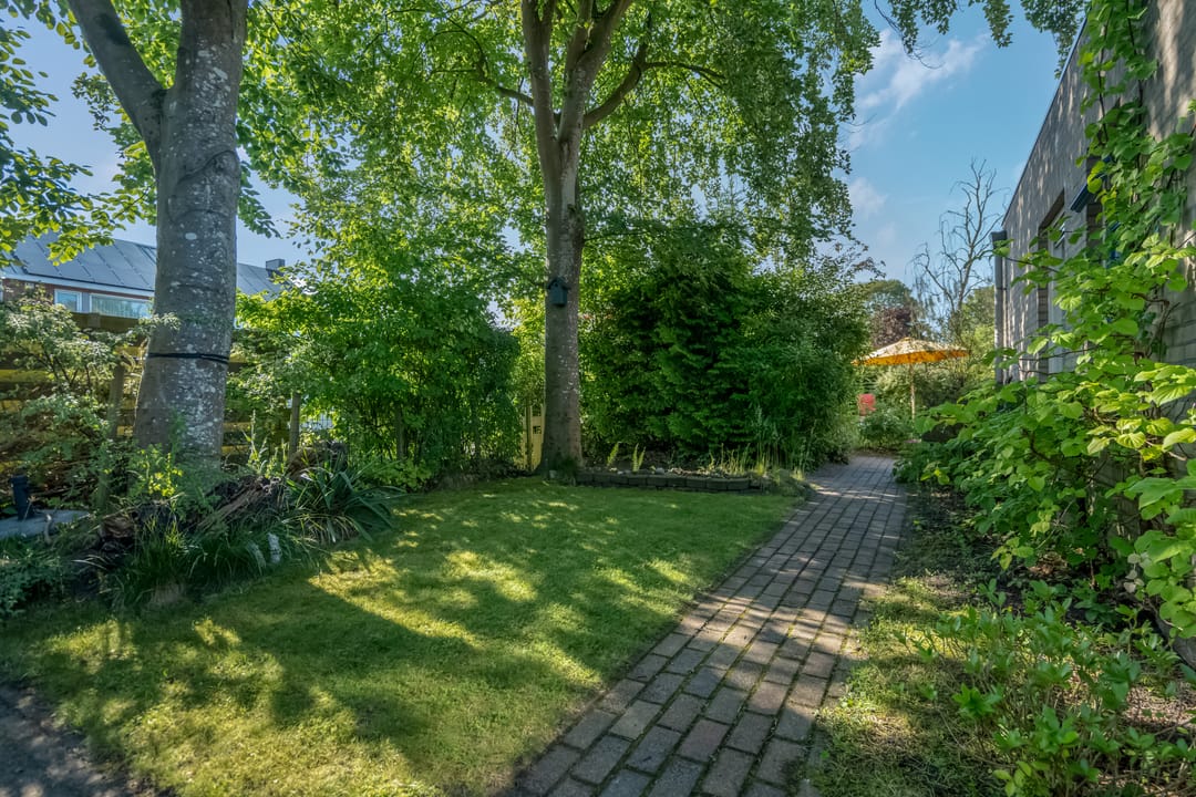 Foto 46 van Klimop 1