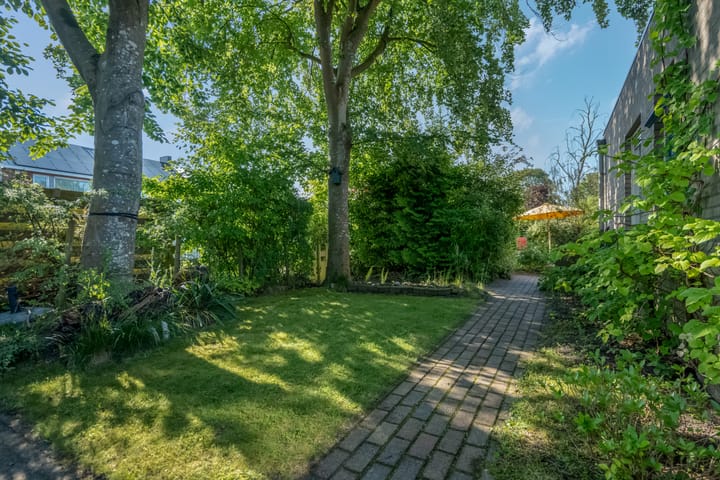 Foto 46 van Klimop 1