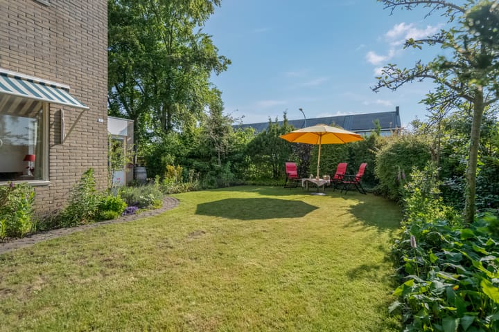 Foto 49 van Klimop 1