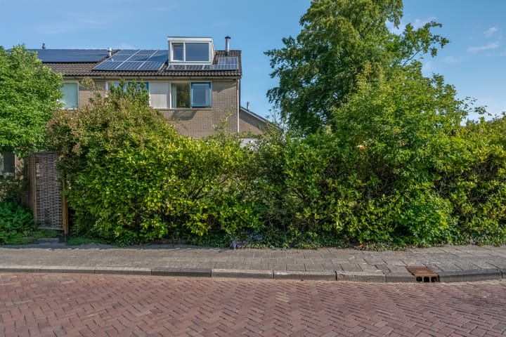 Foto 50 van Klimop 1