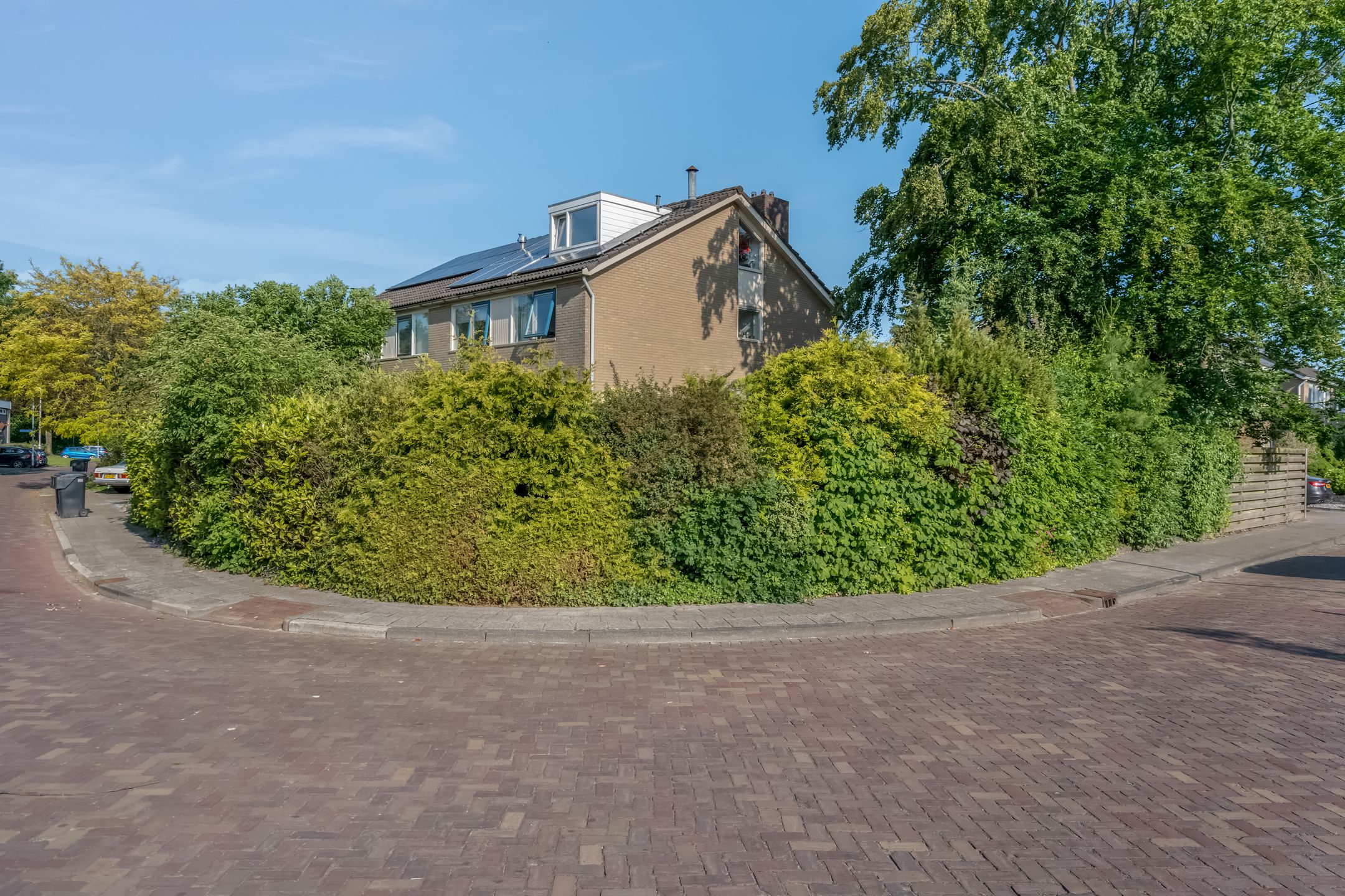 Foto 51 van Klimop 1