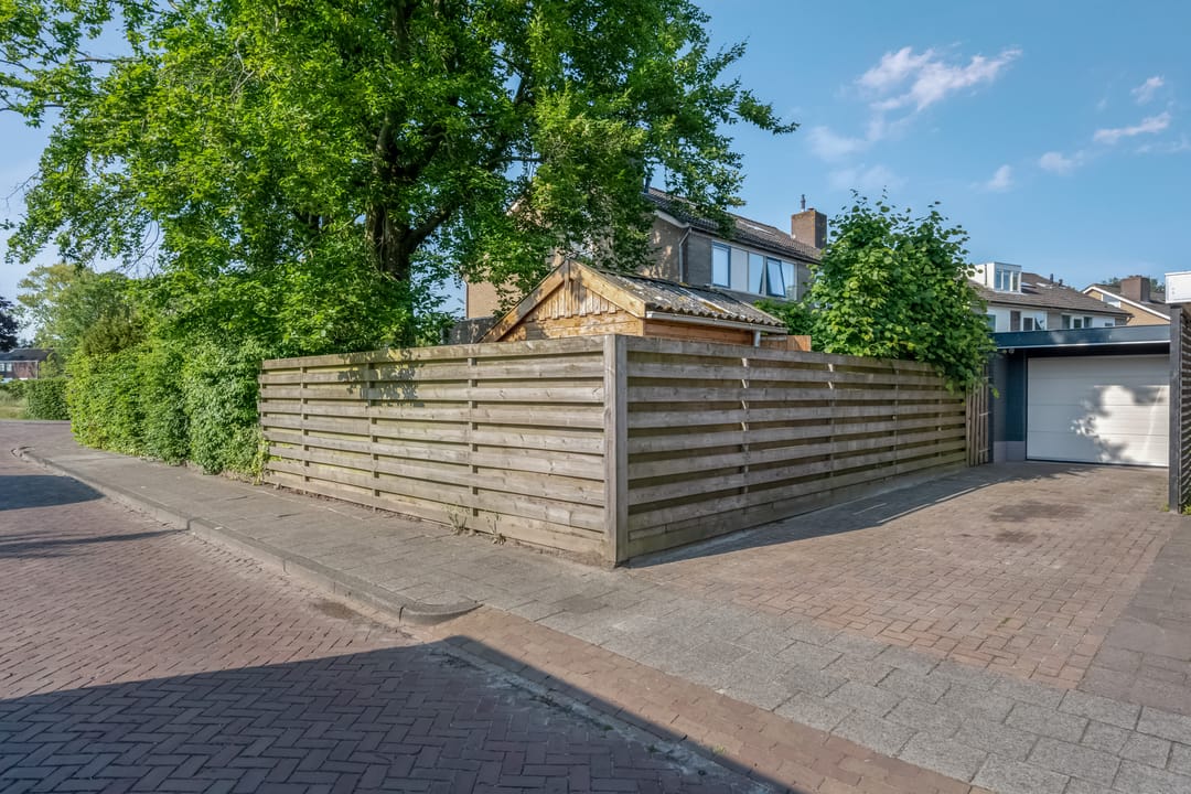 Foto 52 van Klimop 1