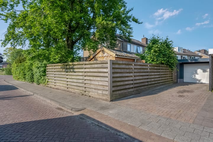 Foto 52 van Klimop 1