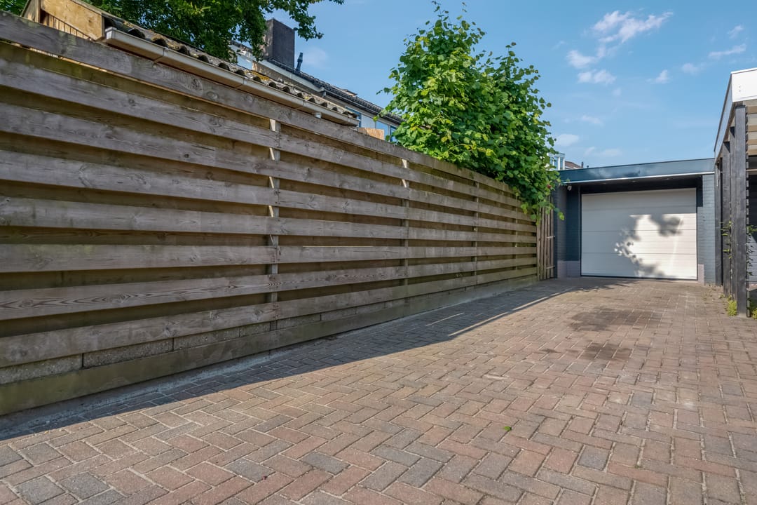 Foto 53 van Klimop 1