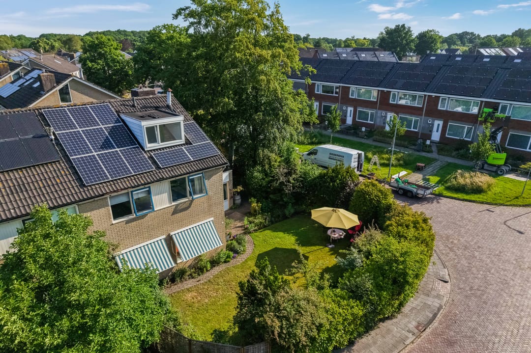 Foto 56 van Klimop 1