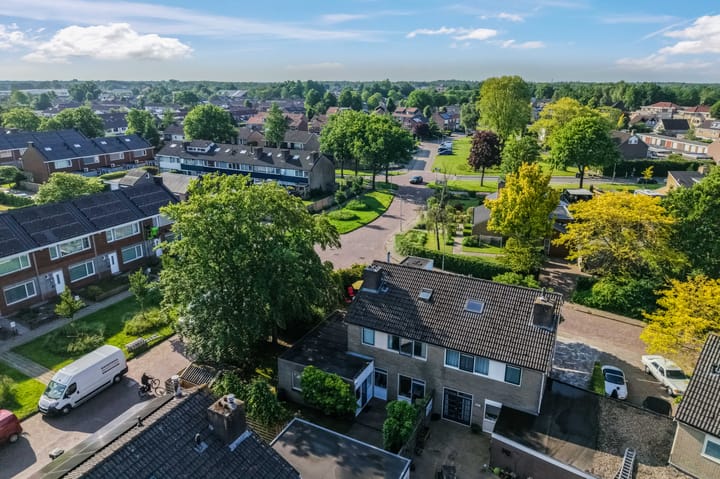 Foto 57 van Klimop 1