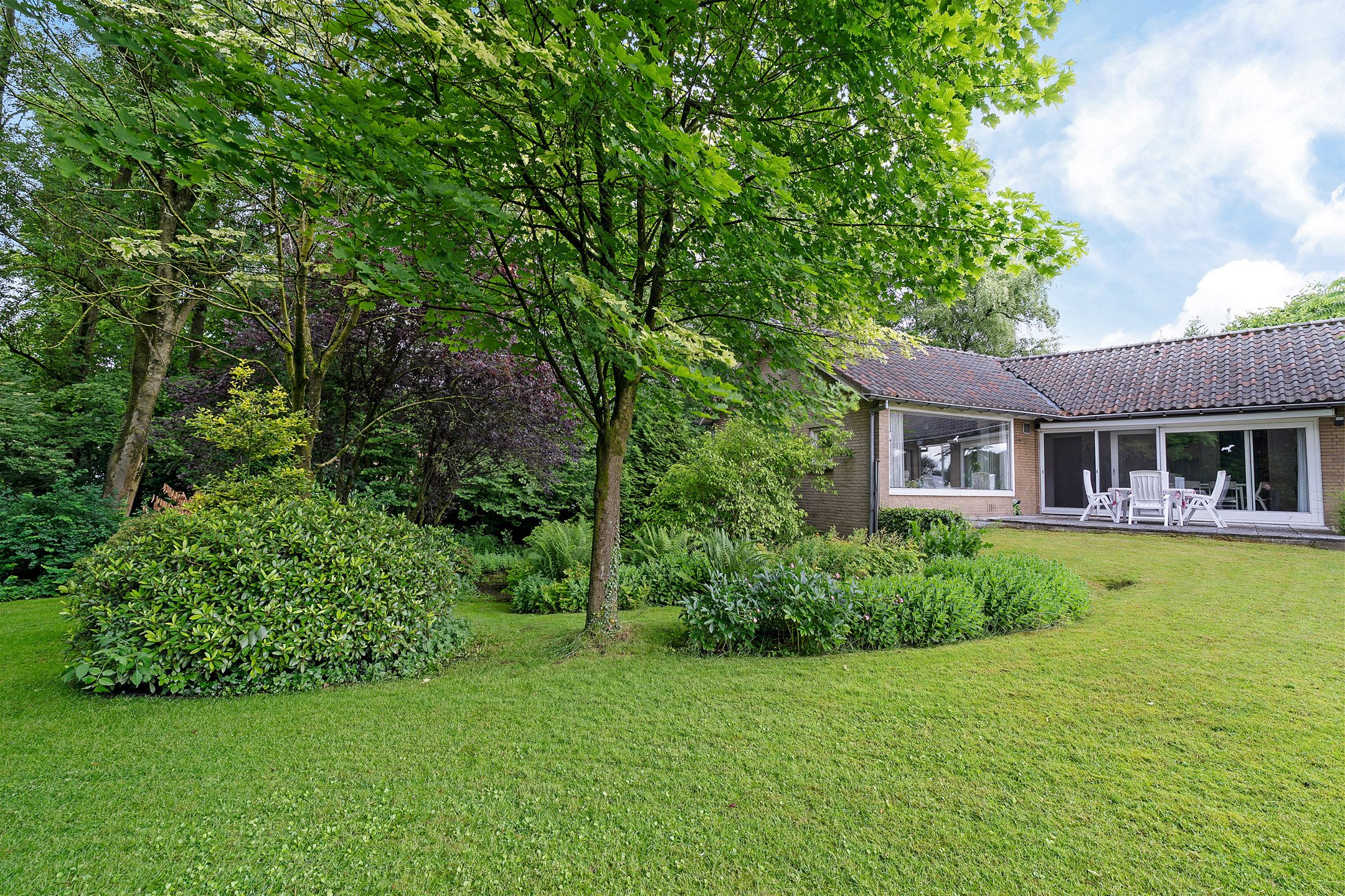 Foto 36 van Oldenzaalsestraat 790