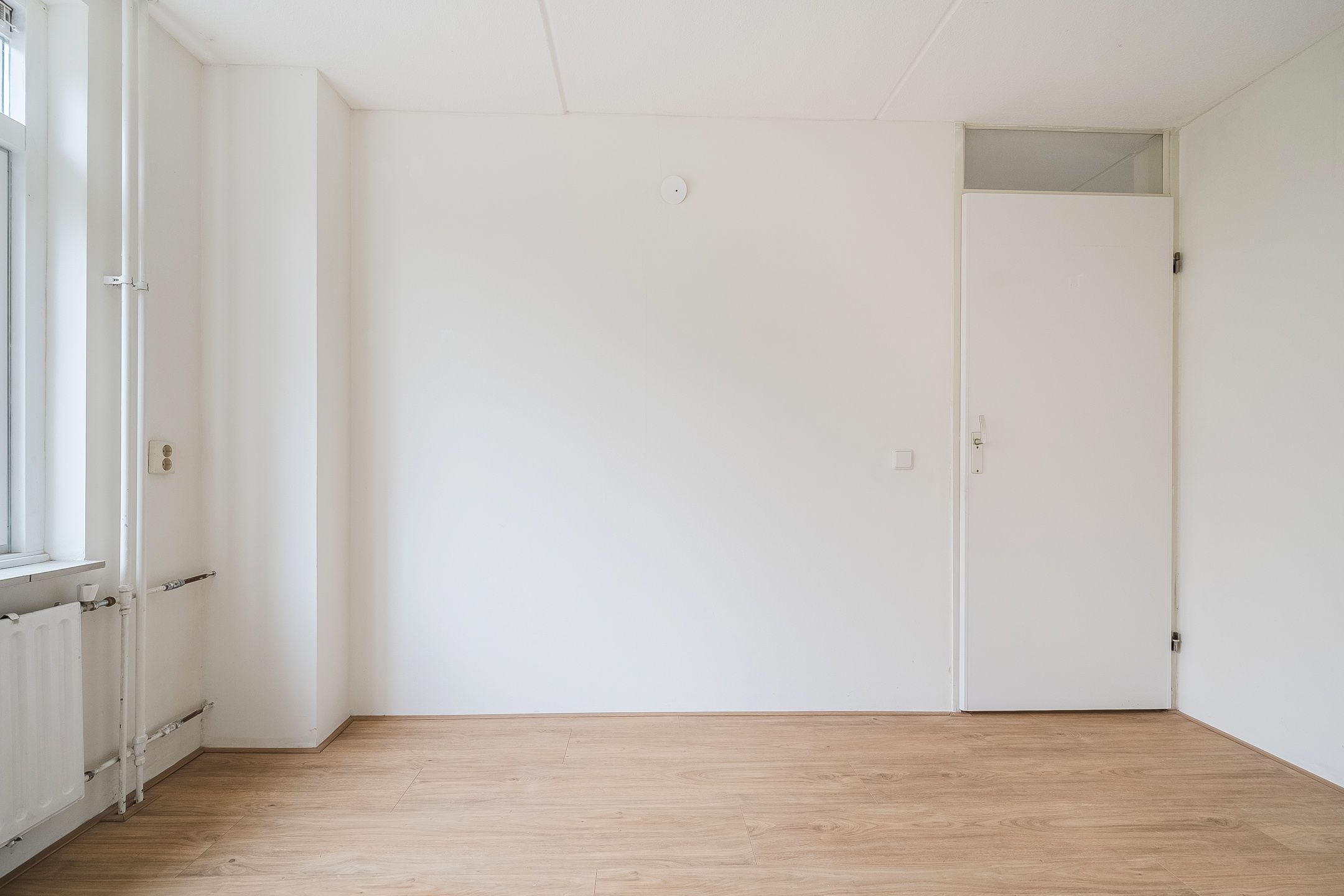 Foto 24 van Grutto 45