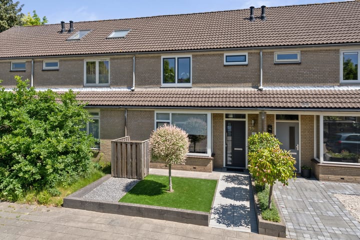 Roerdomp 19