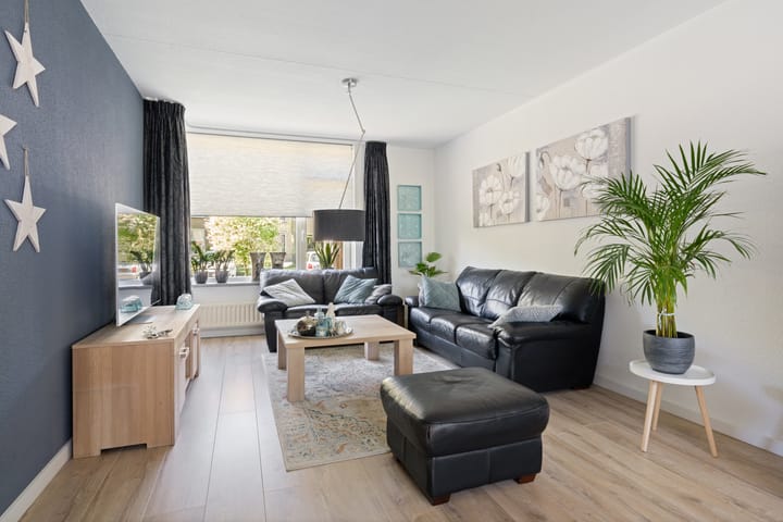 Foto 3 van Roerdomp 19