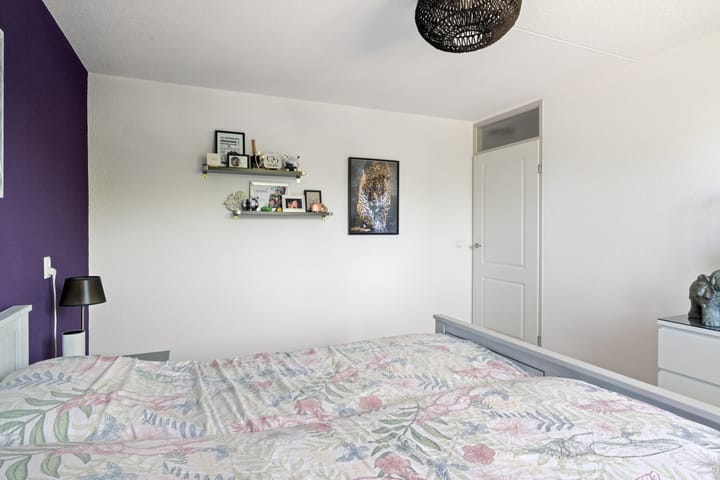 Foto 16 van Roerdomp 19