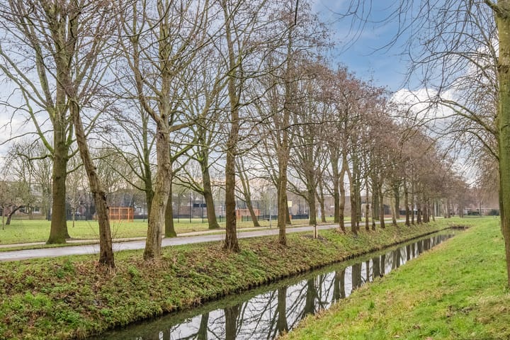 Foto 47 van Grutto 45