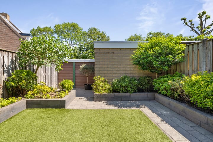 Foto 35 van Roerdomp 19