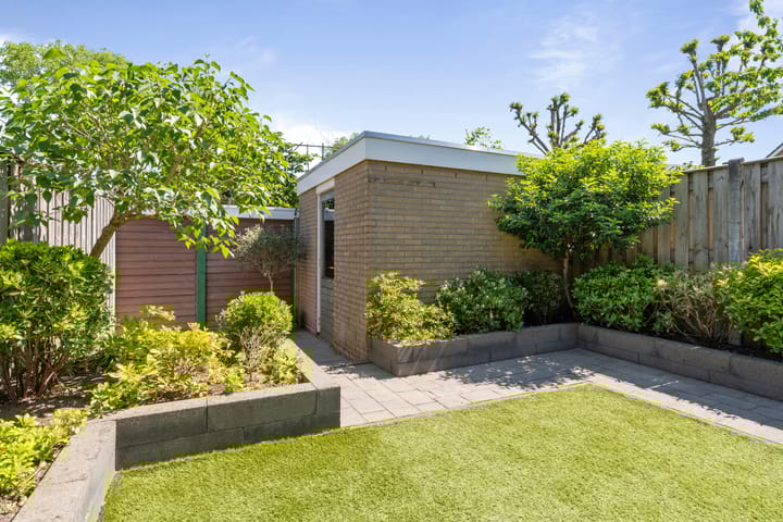 Foto 36 van Roerdomp 19