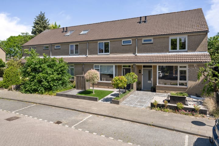 Foto 41 van Roerdomp 19