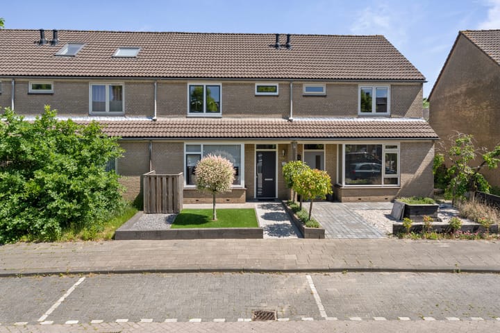 Foto 42 van Roerdomp 19