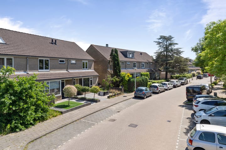 Foto 43 van Roerdomp 19