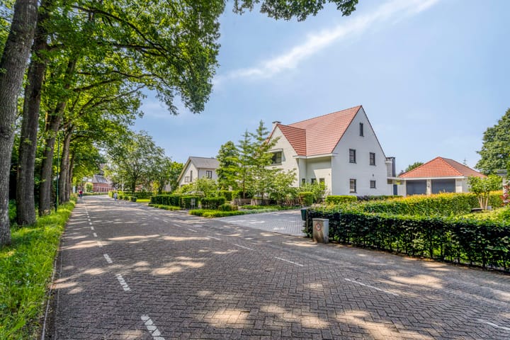 Foto 77 van Meerstraat 9-A