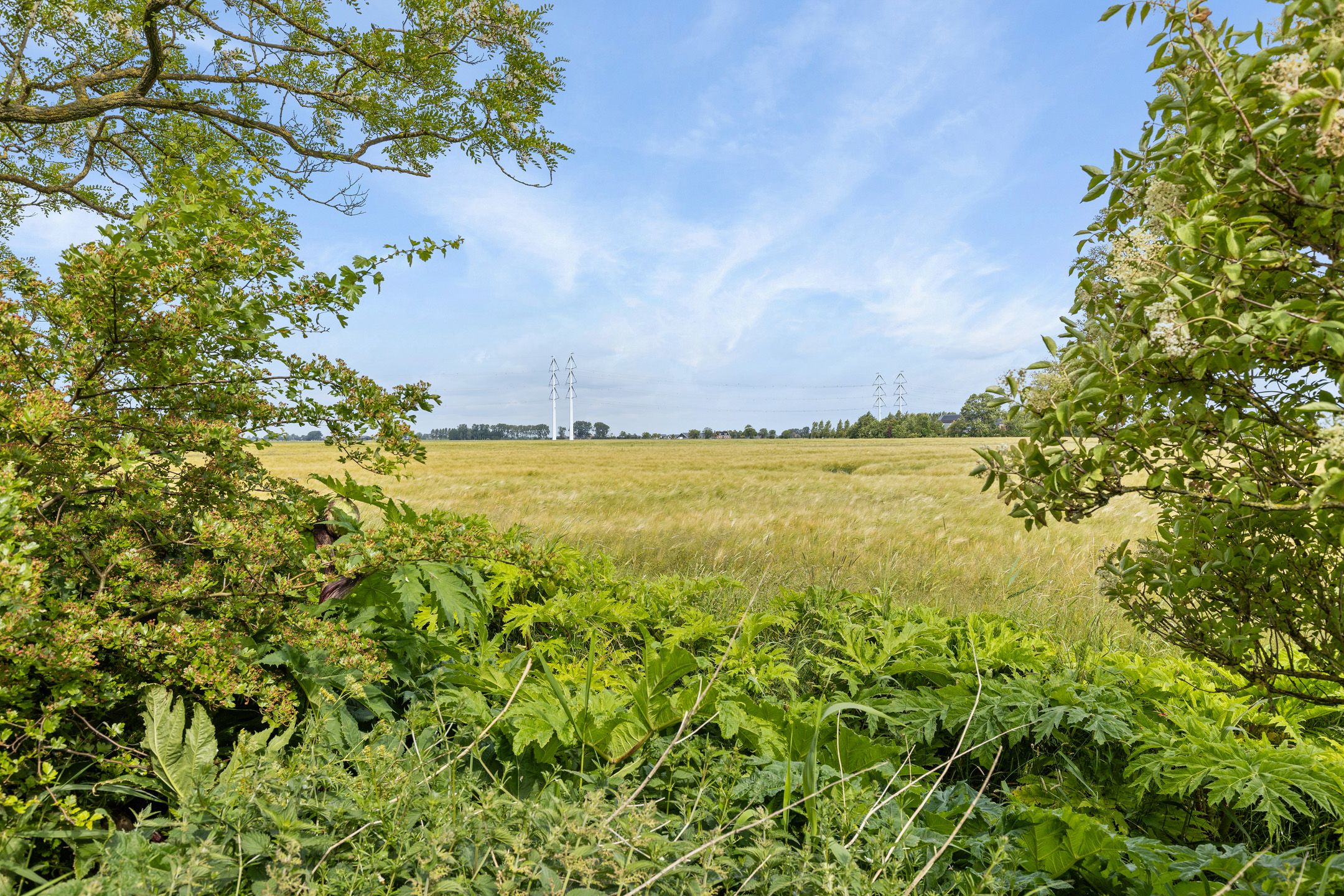 Foto 3 van Aduarderdiep 19