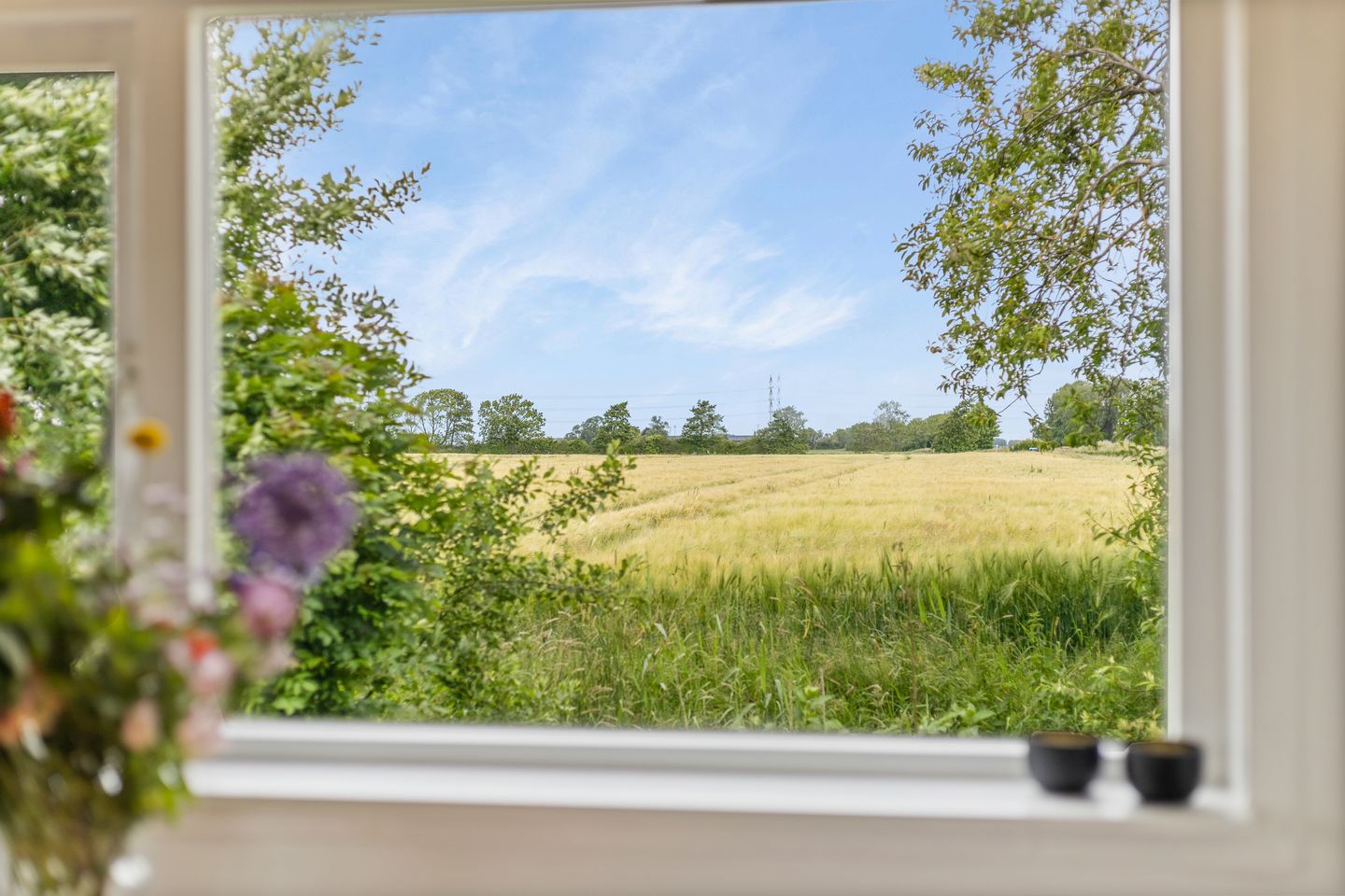 Foto 10 van Aduarderdiep 19