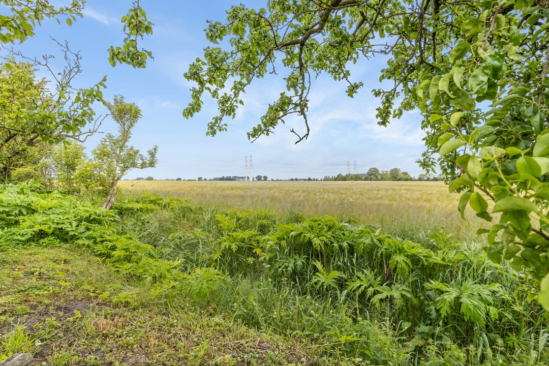 Foto 43 van Aduarderdiep 19