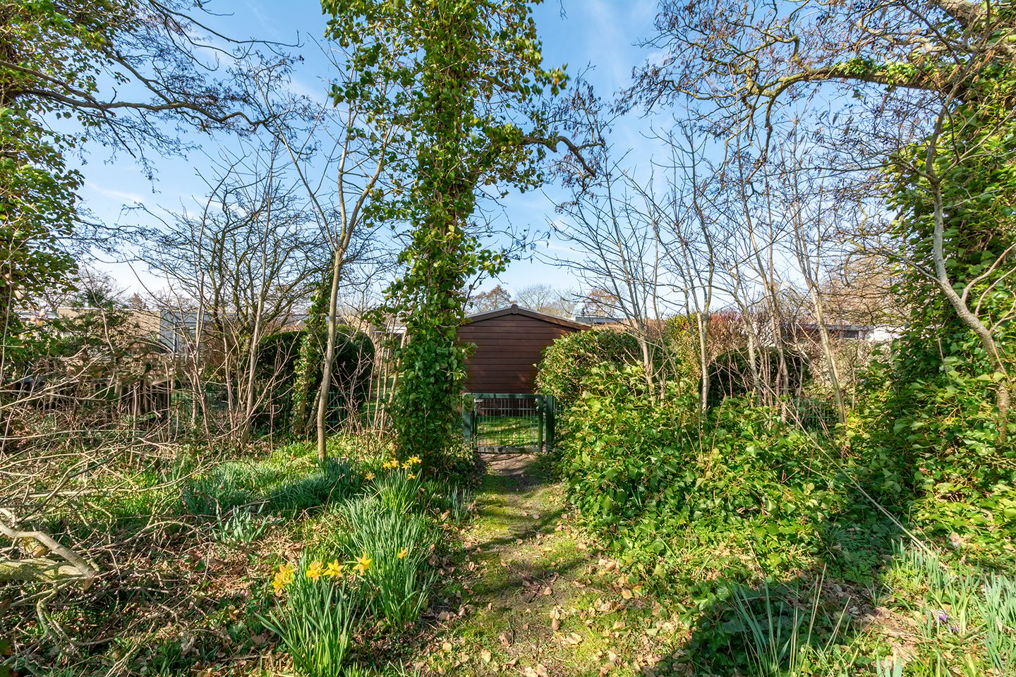 Foto 25 van Westerduinweg 34-H104