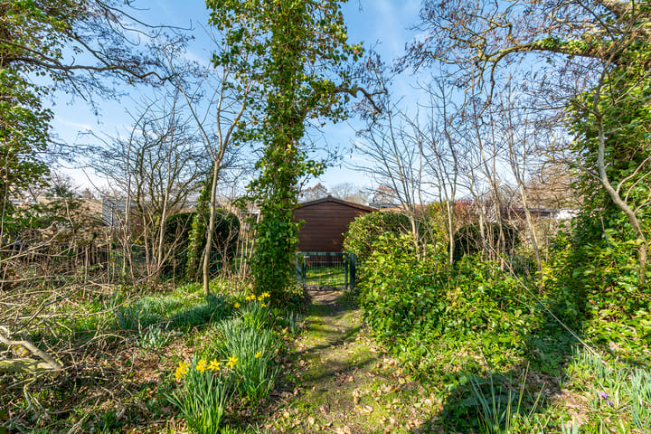 Foto 25 van Westerduinweg 34-H104