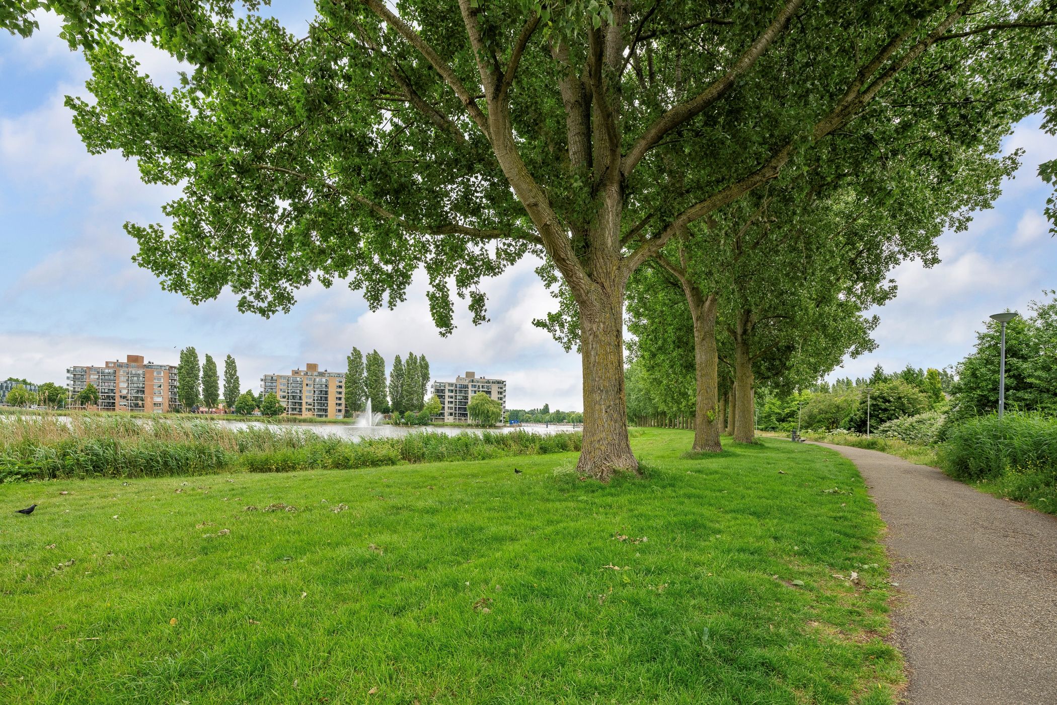 Foto 24 van Jacques Dutilhweg 697