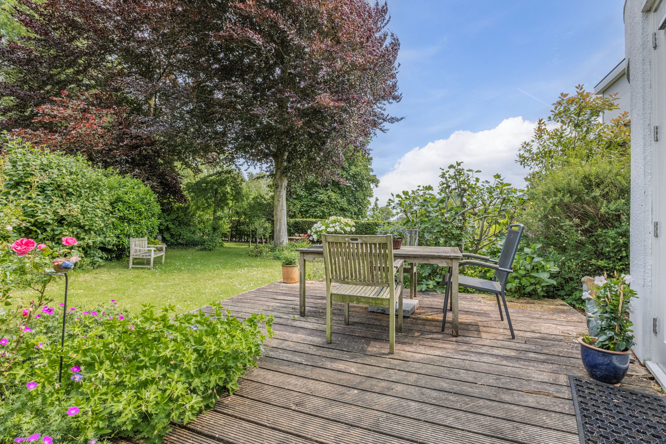 Foto 30 van Provincialeweg Oost 44