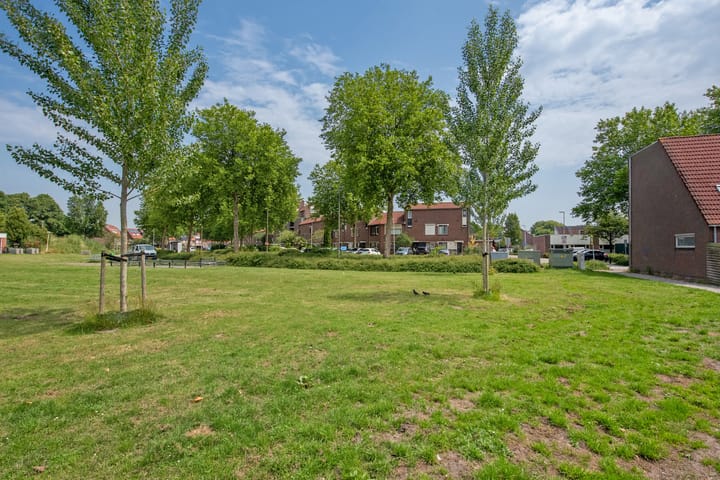 Foto 40 van Buizerdveld 15