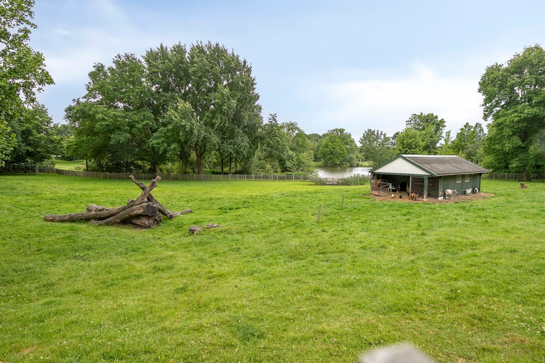 Foto 43 van Smitshoek 8