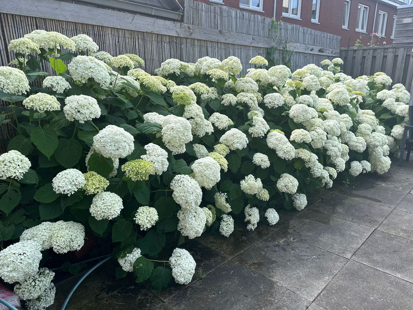 Foto 29 van Westfrankelandsestraat 104