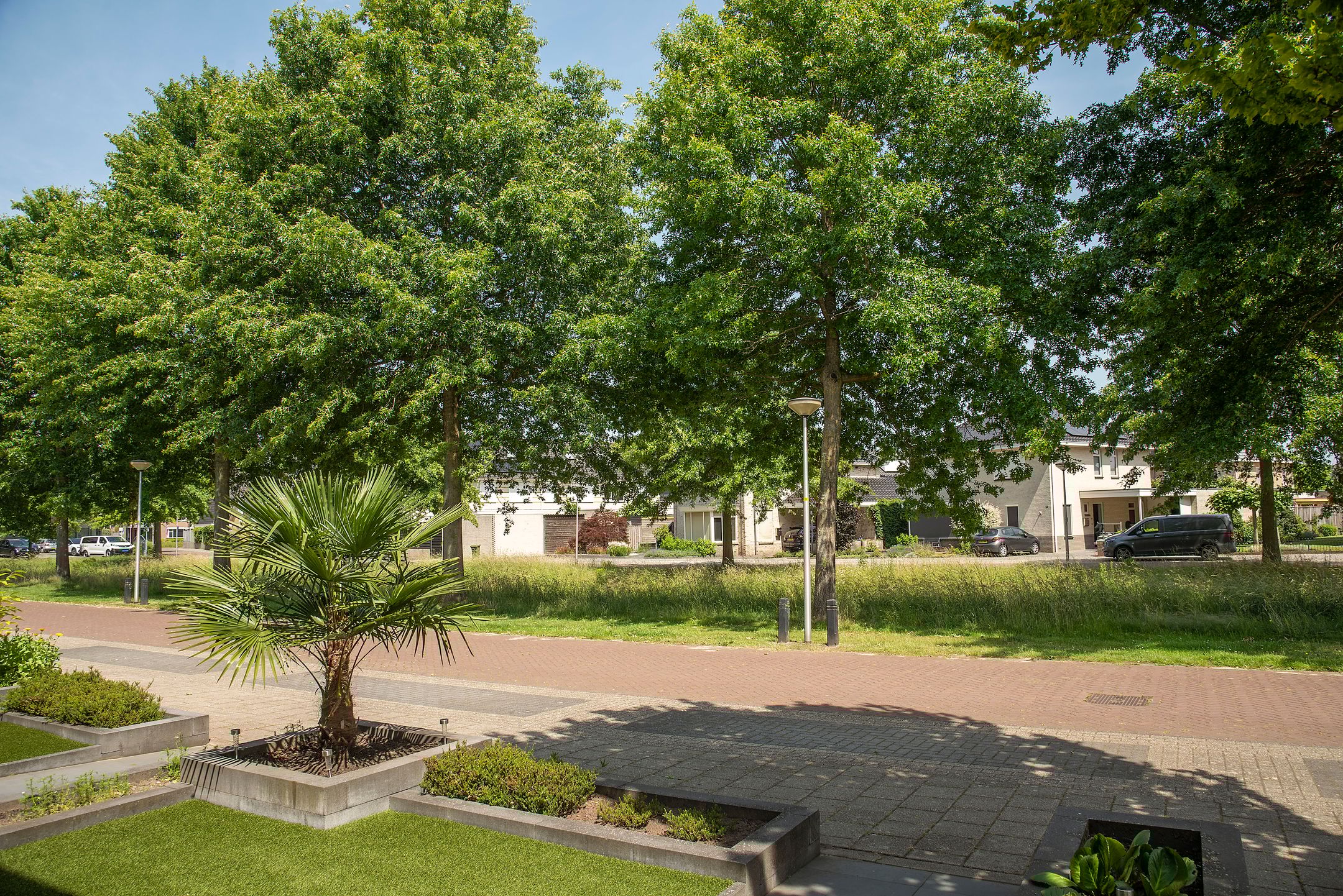 Foto 3 van Erve Wolters 23