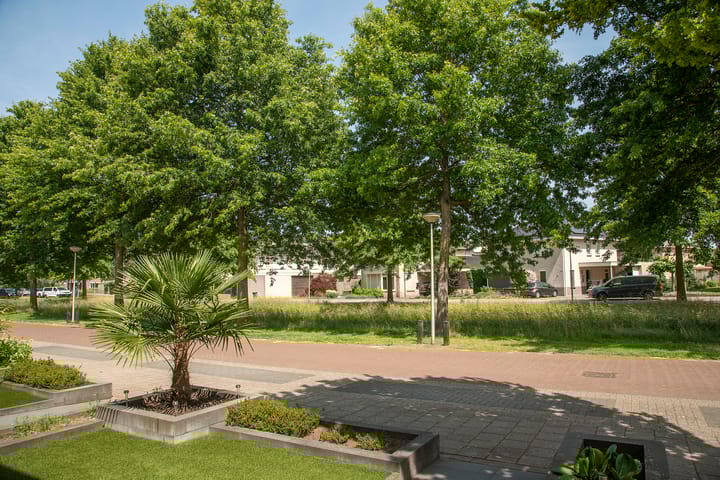 Foto 3 van Erve Wolters 23