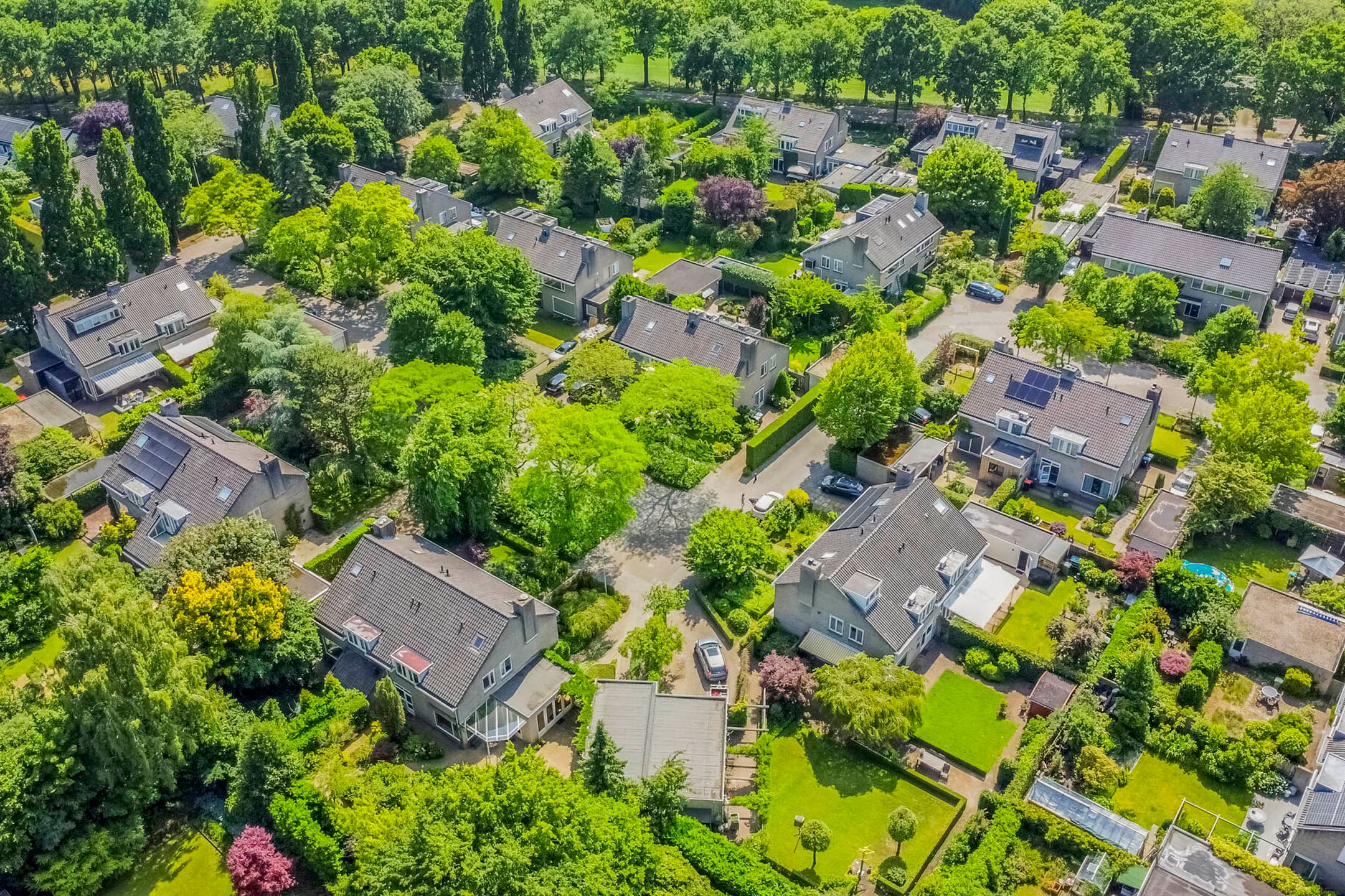 Foto 39 van Iepenlaan 10