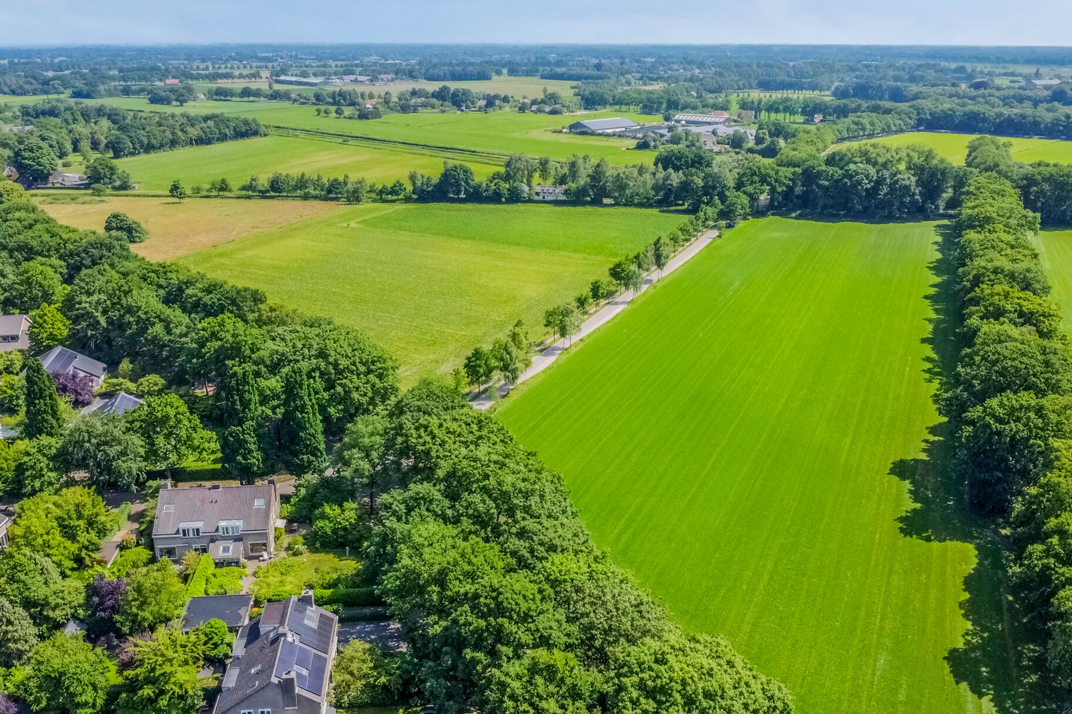 Foto 42 van Iepenlaan 10