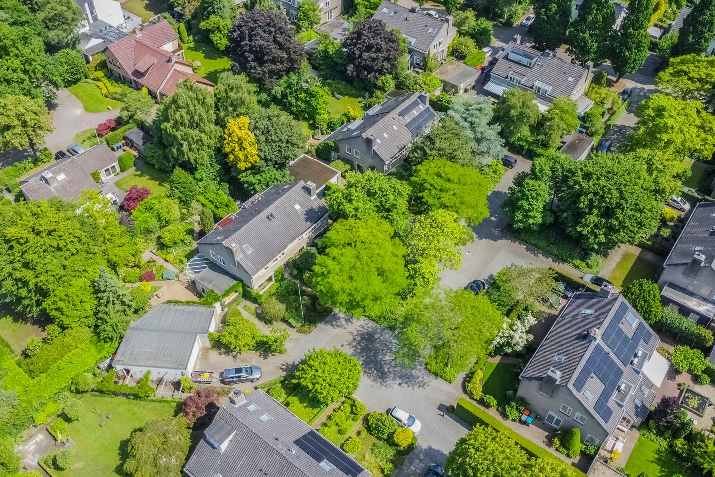 Foto 44 van Iepenlaan 10