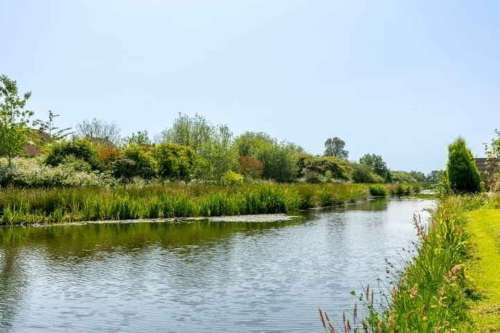 Foto 5 van Roerdompstraat 46