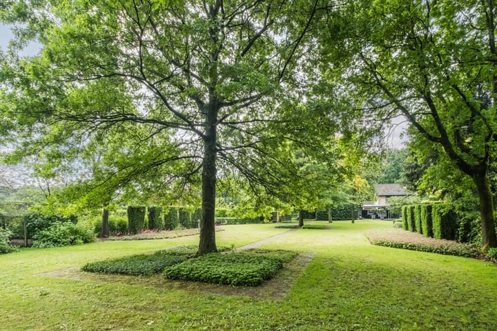 Foto 52 van Koppelen 22