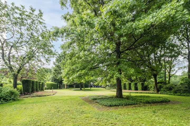 Foto 53 van Koppelen 22