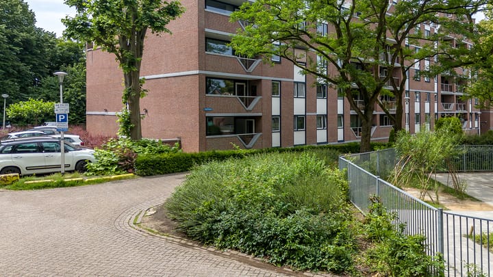 Foto 3 van Dillegaard 65