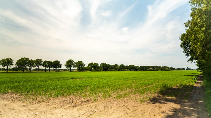 Foto 31 van Geeserraai 12-A