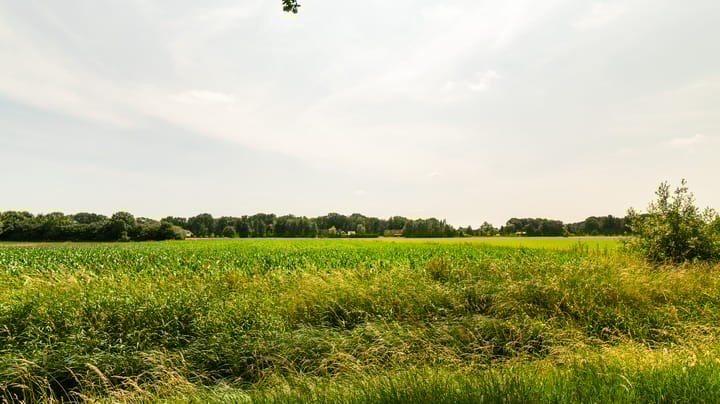 Foto 32 van Geeserraai 12-A