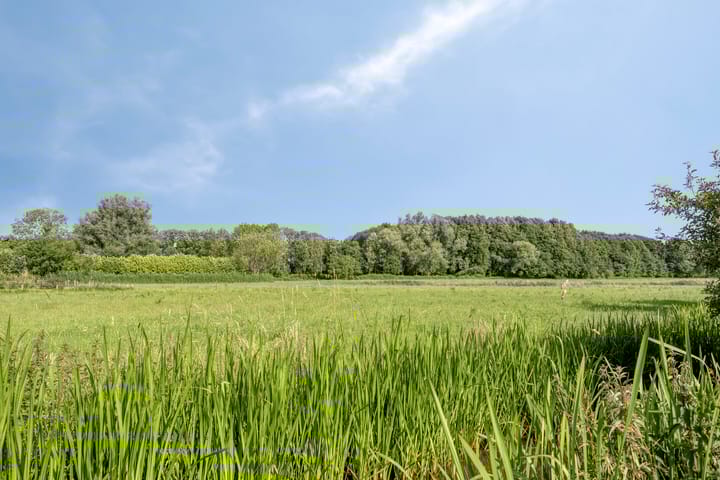 Foto 38 van Zandpad 37