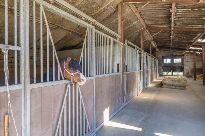 Foto 24 van Overloonseweg 95