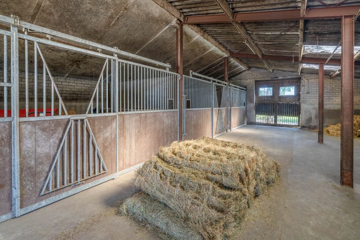 Foto 25 van Overloonseweg 95