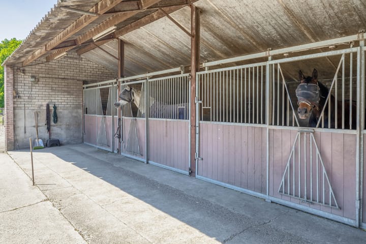 Foto 26 van Overloonseweg 95